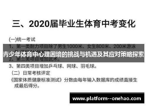 青少年体育中心理困境的挑战与机遇及其应对策略探索