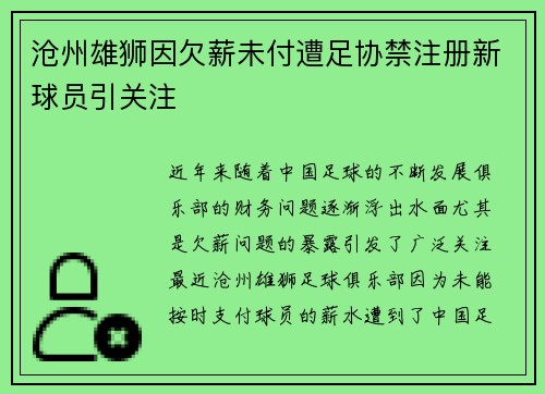 沧州雄狮因欠薪未付遭足协禁注册新球员引关注